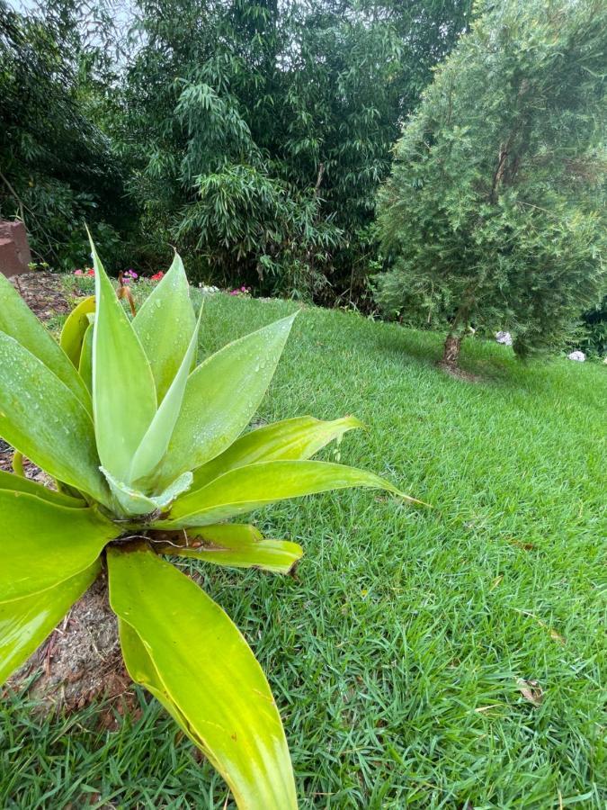 Villa Itália Chalé Santo Antônio do Pinhal Esterno foto